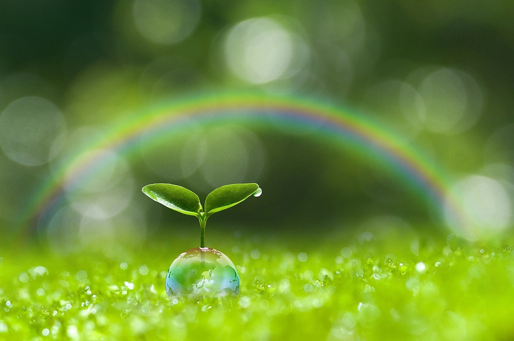 【未経験歓迎】解体業者で解体工事のプロを目指したい方歓迎！